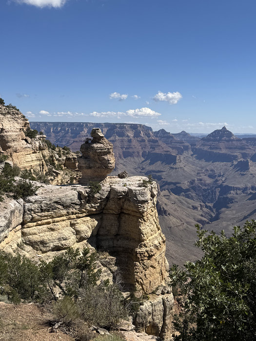 ダック・オン・ア・ロック (Duck On A Rock)の画像