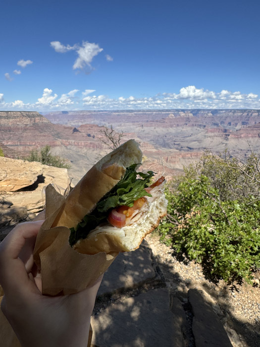 ダック・オン・ア・ロック (Duck On A Rock)の画像
